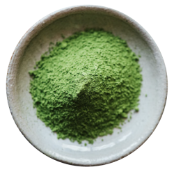 1 Case - Matcha Ceremonial Grade, Japanese powdered green tea - 500gram