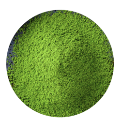 1 Case - Matcha Spring Grade, Japanese powdered green tea - 500gram