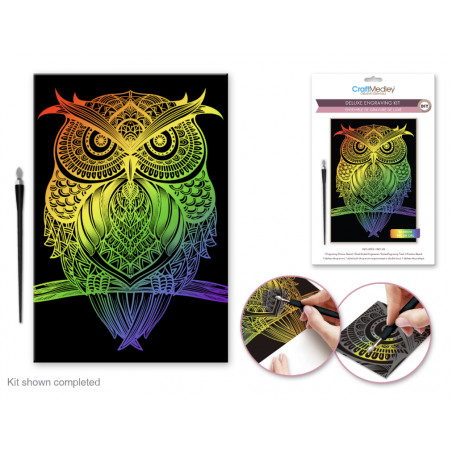 1 Case - 12 Pack - Craft Medley Kit: Deluxe Engraving Art DIY Kit A) Rainbow~ Owl