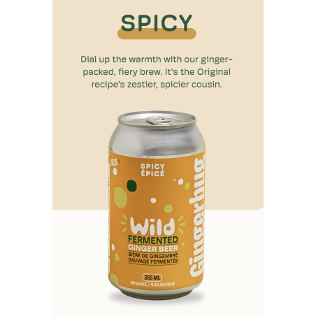 1 Case - 12 Pack, Gingerbug - Ginger Beer, Spicy, 355ml