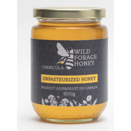 1 Case - 6 Pack, CORBICULA - Wild Forage Unpasturized Honey, 500g
