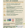 1 Case - 12 Pack, Gingerbug - Ginger Beer, Dry, 355ml