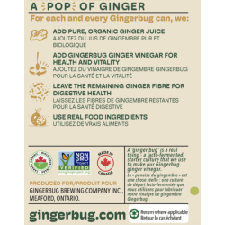 1 Case - 12 Pack, Gingerbug - Ginger Beer, Spicy, 355ml